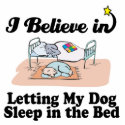 i believe in letting dog sleep in bed