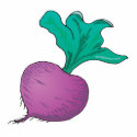 purple radish