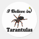 i believe in tarantulas