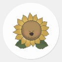 Teddy Bear Face Sunflower