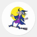 Broom Surfer Witch