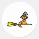 Orange cat on a broom