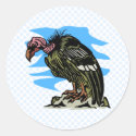 Vilma Vulture