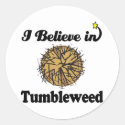 i believe in tumbleweed