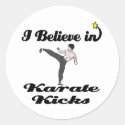 i believe in karate kicks