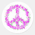 purple peace Flowers