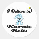 i believe in karate belts