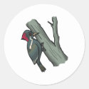 Windy Woodpecker