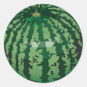 realistic watermelon