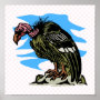 Vilma Vulture