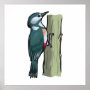 Willma Woodpecker