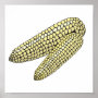 two corn on the cob