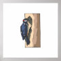 Warder Woodpecker