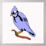 Breezee Blue Jay