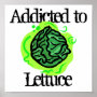 Lettuce