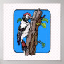 Wellington Woodpecker