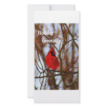 img026 Holiday Greetings photo cards by kkphoto1 img026 Holiday Greetings photo cards