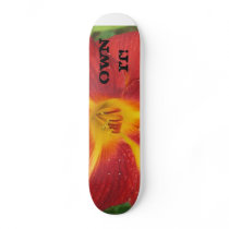 IMG_0024, OWN         IT! skateboards