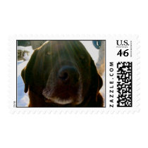 IMG_0057 postage