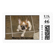 IMG_0059, Merry Christmas Postage Stamps