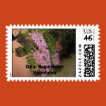 orchids, flowers, seeds, bulbs