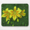 IMG_0084Daylilly mousepads