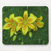 IMG_0084Daylilly mousepads by missyfoxy56 IMG_0084Daylilly mousepads
