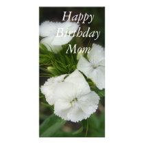 IMG_0093, Happy Birthday Mom photo cards by kkphoto1 IMG_0093, Happy Birthday Mom photo cards