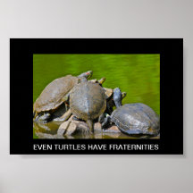 IMG_0131.JPG, EVEN TURTLES HAVE POSTER
