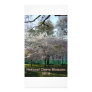IMG_0182, National Cherry Blossoms2010 Customized Photo Card
