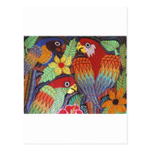 IMG_0190.JPG Birds of Panama Post Card