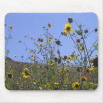 IMG_0196 mousepads