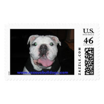IMG_0218, www.rescuebulldogs.com postage