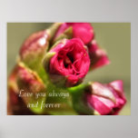 IMG_0220, Love you always and forever Poster