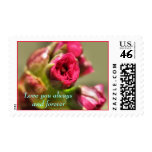 IMG_0220, Love you alwaysand forever Postage Stamps