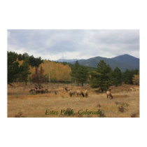 IMG_0284, Estes Park, Colorado posters by Jdore26 IMG_0284, Estes Park, Colorado posters
