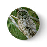 IMG_0297_2 PIN