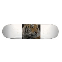 IMG_0334 skateboards