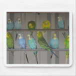 IMG_0348 MOUSEPADS