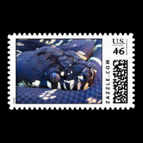 IMG_0357 stamps