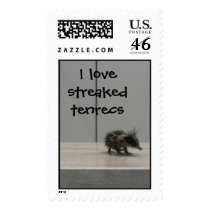 IMG_0455.jpg, I lovestreaked tenrecs postage by danamariehosler IMG_0455.jpg, I lovestreaked tenrecs postage