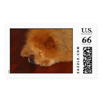 IMG_0583 postage by sotha1 IMG_0583 postage