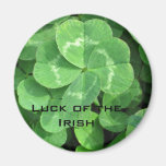 IMG_0604, Luck of the Irish Fridge Magnet