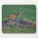 IMG_0617 mousepads by xfsiren IMG_0617 mousepads