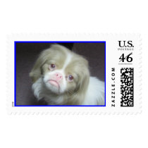 IMG_0836 postage by kng072003 IMG_0836 postage