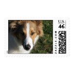 IMG_0867 postage