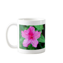 IMG_0917, IMG_0917 mugs by TaiandRoxanne IMG_0917, IMG_0917 mugs