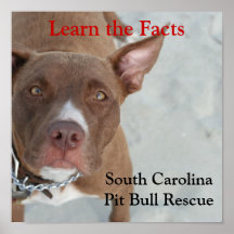 IMG_1234, Learn the Facts, South CarolinaPit Bu... Poster