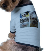 IMG_1311.JPG PET TEE SHIRT