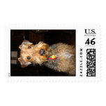 IMG_1368 postage